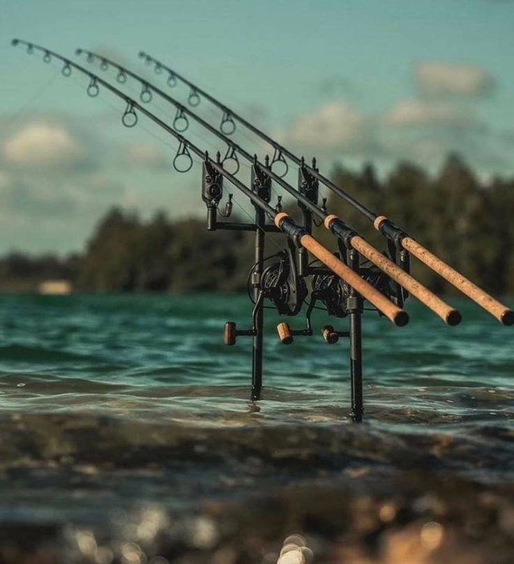 Hengelsport in Lelystad