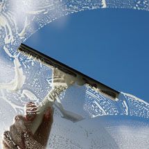 Glazenwasser in Lelystad