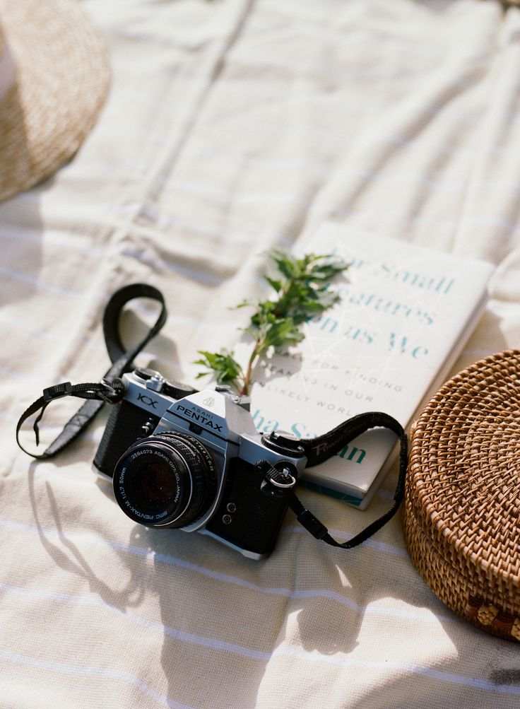 Trouwfotograaf in Lelystad