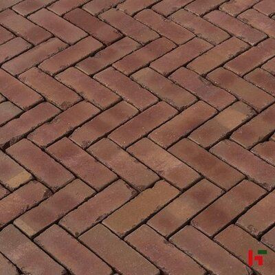 SierbeStrating in Lelystad