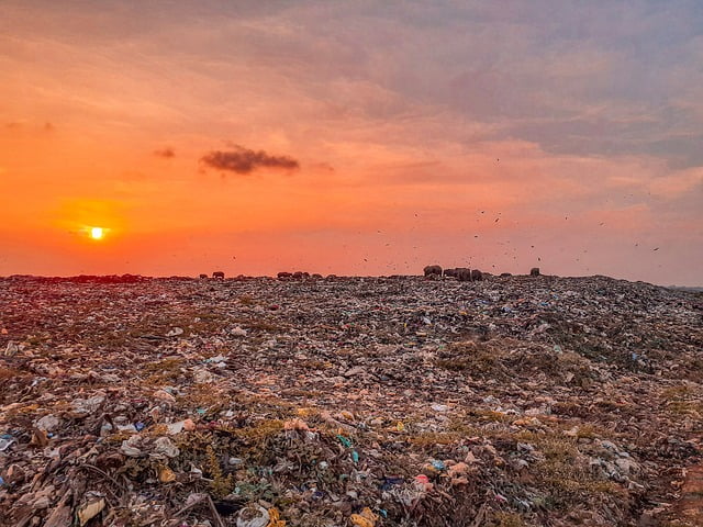 Vuilstort in Lelystad