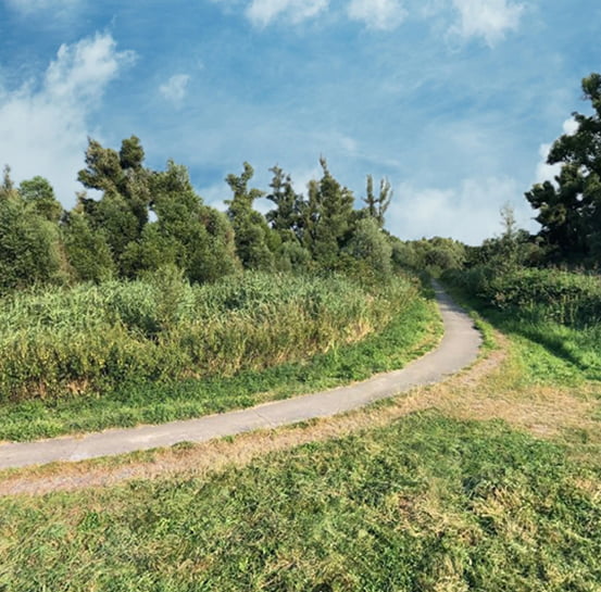 Oostvaardersplassen_2